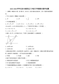 2023-2024学年北京市朝阳区八年级下学期期末数学试题（含答案）