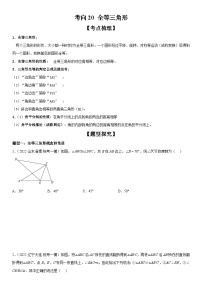 中考数学一轮复习考点微专题（全国通用）考向20 全等三角形（附答案）