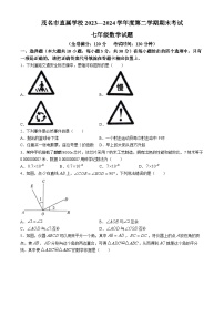 广东省茂名市直属学校2023-2024学年七年级下学期期末数学试题