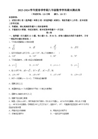 广西壮族自治区南宁市第十四中学2023-2024学年八年级下学期期末数学试题(无答案)