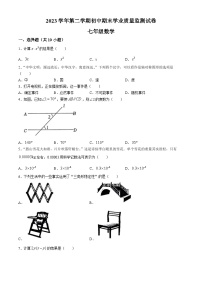 广东省清远市英德市2023-2024学年七年级下学期期末数学试题(无答案)