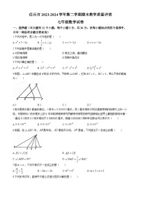 河北省沧州市任丘市2023-2024学年七年级下学期期末数学试题