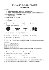 浙江省绍兴市嵊州市2023-2024学年八年级下学期期末数学试题(无答案)