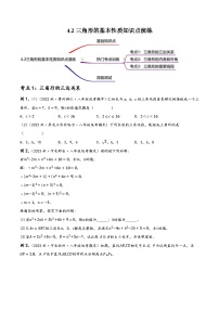 中考数学一轮复习4.2三角形的基本性质演练(讲练)(原卷版+解析)