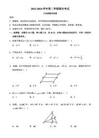 广东深圳罗湖区深圳中学初中部2024年八年级下学期期末考试数学试卷+答案