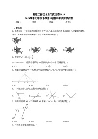 黑龙江省佳木斯市抚远市2023-2024学年七年级下学期5月期中考试数学试卷(含答案)