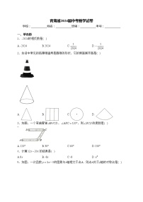 青海省2024届中考数学试卷(含答案)