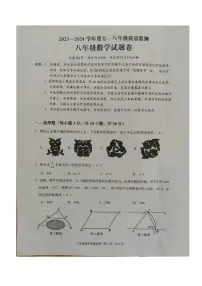 广东省揭阳市普宁市2023-2024学年八年级下学期7月期末数学试题