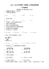 广东省江门市陈白沙中学2023-2024学年七年级下学期第三次月考数学试题(无答案)