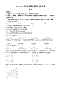 河南省周口市西华县2023-2024学年七年级下学期期末数学试题