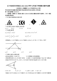 辽宁省沈阳市铁西区2023-2024学年七年级下学期期末数学试题