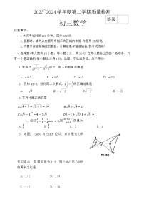 山东省威海市经济技术开发区2023-2024学年八年级下学期期末考试数学试题