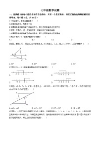 山东省淄博市周村区（五四制）2023-2024学年七年级下学期期末考试数学试题