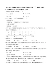 2023-2024学年湖南省长沙市长郡教育集团八年级（下）期末数学试卷