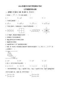 广东省惠州市惠阳区惠州市知行学校2023-2024学年七年级下学期期末数学试题（原卷版+解析版）