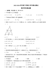 黑龙江省哈尔滨市道外区2023-2024学年八年级下学期期末数学试题（原卷版+解析版）