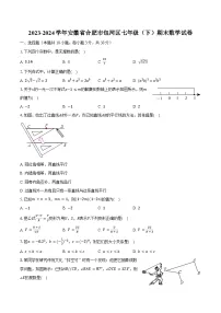 2023-2024学年安徽省合肥市包河区七年级（下）期末数学试卷（含解析）