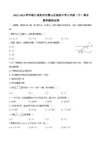 2023-2024学年浙江省杭州市萧山区衙前中学七年级（下）期末数学模拟试卷（含答案）