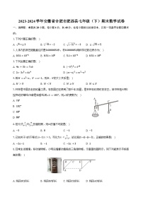 2023-2024学年安徽省合肥市肥西县七年级（下）期末数学试卷（含解析）