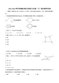 2023-2024学年河南省洛阳市嵩县七年级（下）期末数学试卷（含解析）