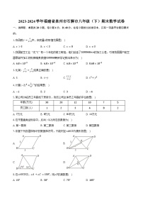 2023-2024学年福建省泉州市石狮市八年级（下）期末数学试卷（含解析）