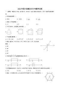 2024年四川省雅安市中考数学试卷（含答案）