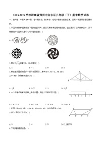 2023-2024学年河南省郑州市金水区八年级（下）期末数学试卷（含解析）