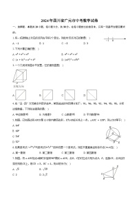 2024年四川省广元市中考数学试卷（含解析）