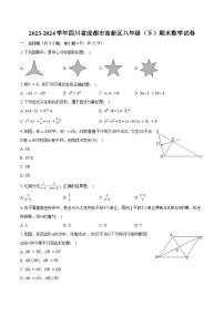 2023-2024学年四川省成都市高新区八年级（下）期末数学试卷（含解析）