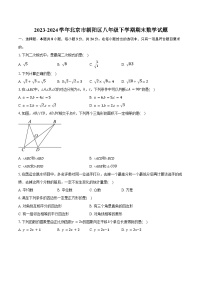 2023-2024学年北京市朝阳区八年级下学期期末数学试题（含解析）