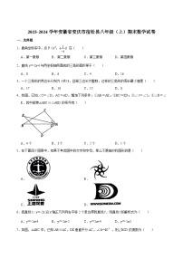 安徽省安庆市宿松县2023-2024学年八年级上学期期末考试数学试卷(含答案)