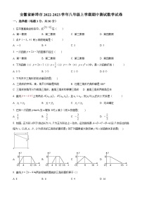 安徽省蚌埠市2022-2023学年八年级上学期期中测试数学试卷(沪科版，含答案)