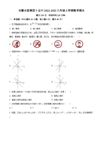 安徽省合肥市第四十五中学2022_2023学年八年级上学期数学期末试题（沪科版，含答案)