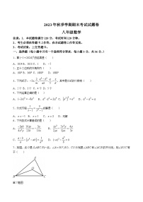 广西河池市宜州区2023-2024学年八年级上学期期末考试数学试卷(含答案)