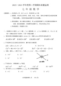 河北省石家庄市桥西区2023-2024学年七年级下学期期末考试数学试题