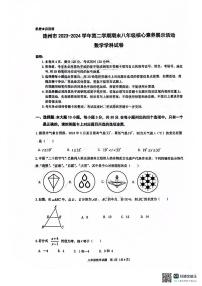 广东省清远市连州市2023-2024学年八年级下学期7月期末数学试题