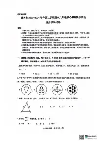 广东省清远市连州市2023-2024学年八年级下学期7月期末数学试题
