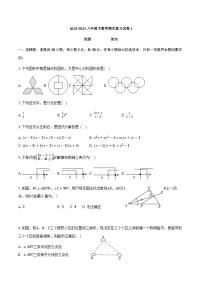 2023-2024学年北师大版八年级数学下册期末复习试卷1