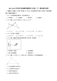四川省成都市郫都区2023-2024学年七年级下学期期末数学试题