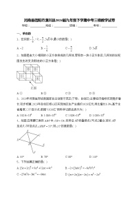 河南省信阳市潢川县2024届九年级下学期中考三模数学试卷(含答案)