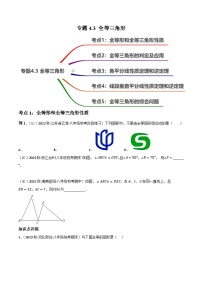 中考数学一轮大单元复习专题4.3全等三角形知识点演练(5大题型，91题)(讲练)(原卷版+解析)