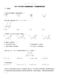 [数学][期末]2023_2024学年广东揭阳惠来县初一下学期期末数学试卷