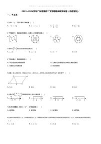 [数学][期末]2023_2024学年广东河源初二下学期期末数学试卷(市直学校)