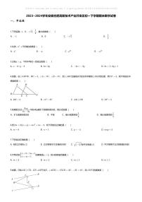 [数学][期末]2023_2024学年安徽合肥高新技术产业开发区初一下学期期末数学试卷