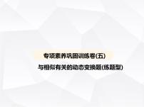 北师大版初中九年级数学上册专项素养巩固训练卷(五)与相似有关的动态变换题(练题型)课件