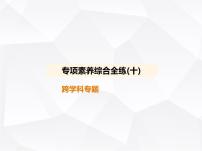 北师大版初中九年级数学上册专项素养综合练(十)跨学科专题课件