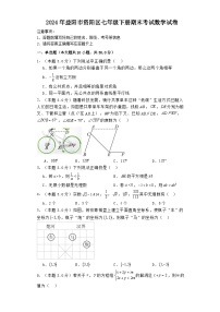 湖南省益阳市资阳区2023-2024学年七年级下学期7月期末数学试题