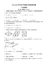 山东省临沂市兰陵县2023-2024学年八年级下学期期末数学试题(无答案)