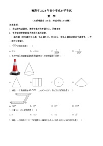 2024年青海省中考题数学试题（解析版）