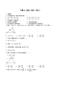 沪教版九年级数学上册期中期末挑战满分冲刺卷专题01相似三角形(重点)(原卷版+解析)